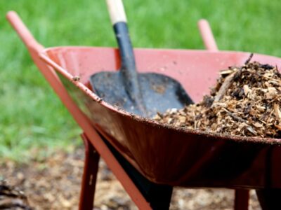 Mulch Delivery